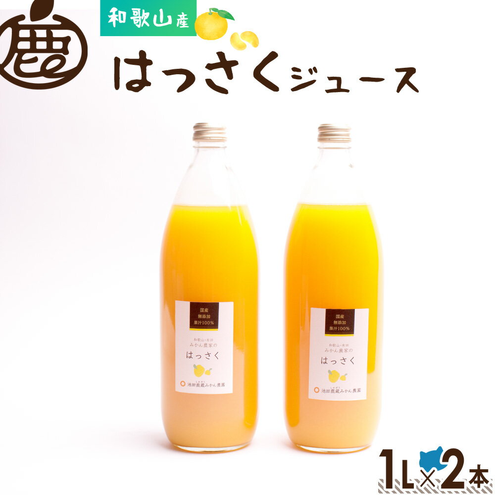 はっさくジュース1L×2本　　　　　　　　　 【こだわりの無添加、フルーツ100%ストレートジュース】【送料無料】