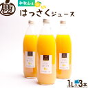 はっさく ジュース 1L×3本 