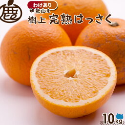 【予約】発送4月中旬以降[わけあり] 樹上 完熟はっさく 10kg 【 送料無料 訳あり お得 KS 八朔 木成りはっさく さつき八朔 和歌山 産地直送 】