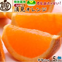 [特別栽培｜わけあり] 清見オレンジ 5kg 【 送料無料 減農薬栽培 有機肥料100% 清見 オレンジ 清見タンゴール きよみ…