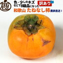 【予約】 訳あり たねなし柿 約 1kg 2kg 3kg 【 KS 送料無料 サイズ混合 和歌山 産 種なし 柿 フルーツ 産直 農家直送 秋 お買い得 】