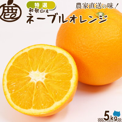 特選 ネーブルオレンジ 5kg