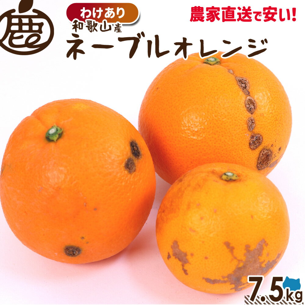 数量限定! [わけあり] ネーブルオレンジ 7.5kg 【 送料無料 訳あり お得 KS ネーブル オレンジ 和歌山 産地直送 ジュース 手作り デザート 】