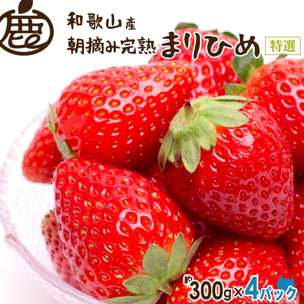 いちご 朝摘み 完熟 まりひめ （特選） 1.2kg 【 KS 送料無料 いちご 苺 イチゴ お取り寄せ グルメ 和歌山 フルーツ デザート ギフト 】