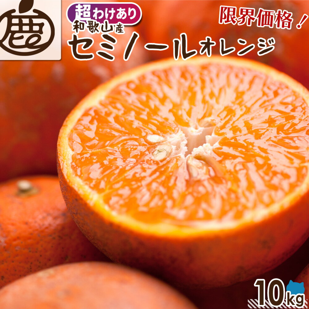 [超わけあり] セミノールオレンジ 10kg 【 送料無料 KSロットA 訳あり 超訳あり セミノール オレンジ ジュース 和歌山 みかん 柑橘 産地直送 大容量 】