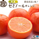   セミノールオレンジ 5kg 