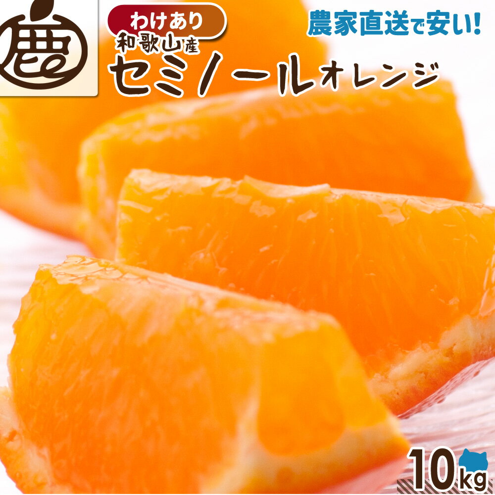 [わけあり] セミノールオレンジ 10kg 【 送料無料 KS 訳あり セミノール オレンジ ジュース 和歌山 みかん 柑橘 産地…