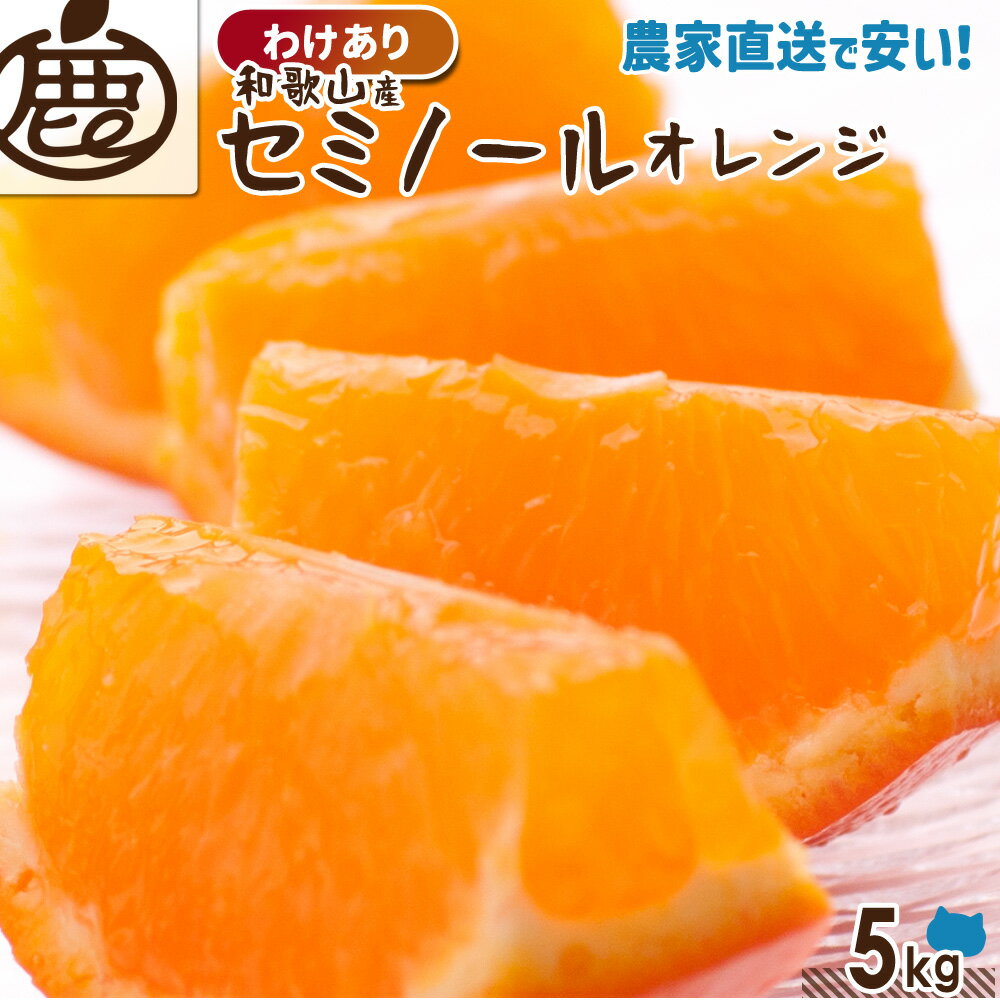 [わけあり] セミノールオレンジ 5kg 【 送料無料 KS 訳あり セミノール オレンジ ジュース 和歌山 みかん 柑橘 産地直送 】