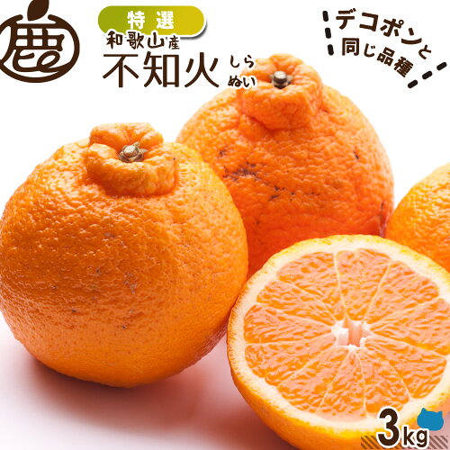 剥きやすくておいしい人気の柑橘！[特選] 不知火 ( デコポン ) 3kg 【...