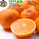 [特別栽培｜わけあり] 不知火 ( デコポン ) 7.5kg 【 減農薬栽培 有機肥料100% 訳あ ...