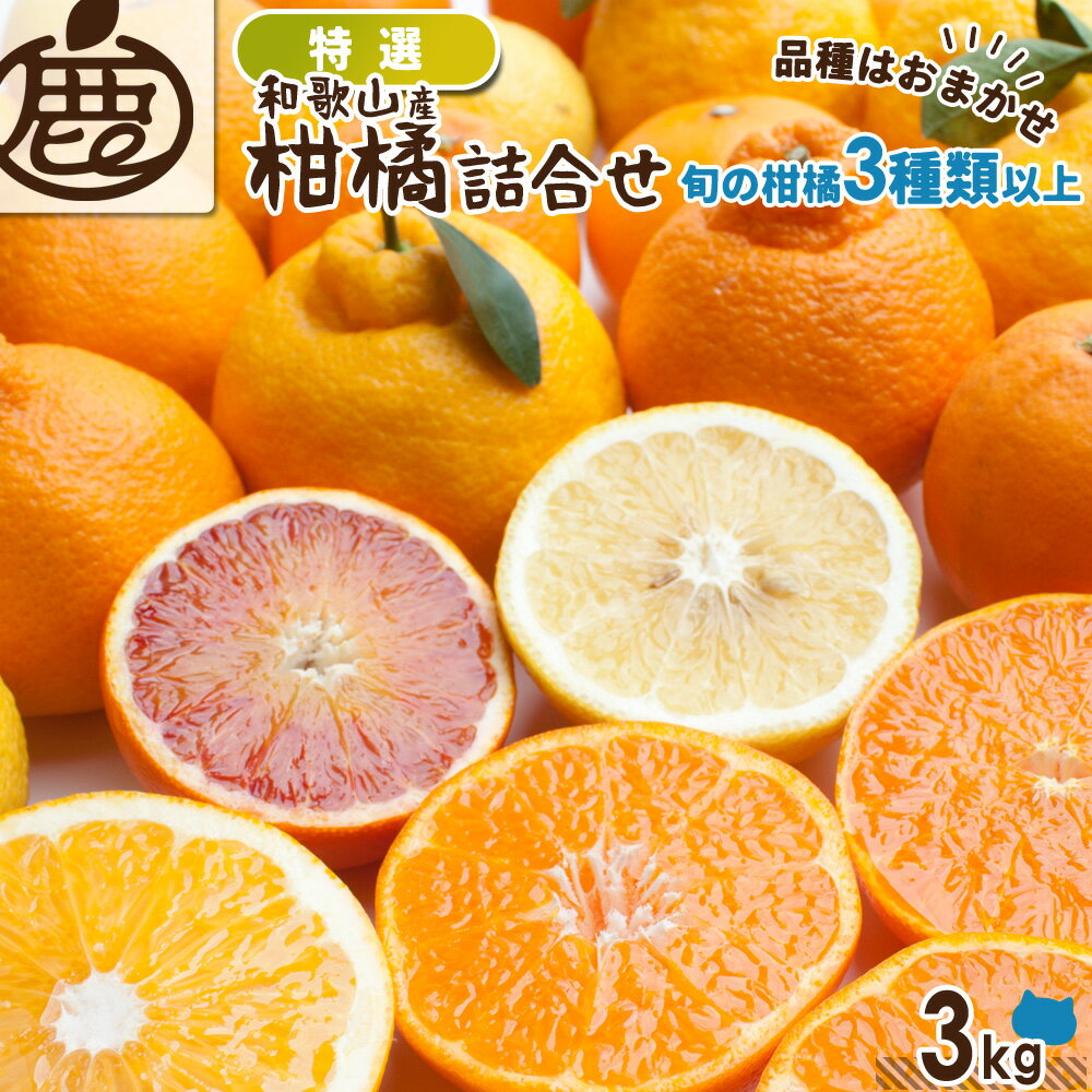 [特選] 柑橘詰め合わせ 3kg 【 送料無料 KS フルーツ 柑橘 詰合せ 果物 盛り合わせ セット お楽しみ福袋 訳あり 温州…