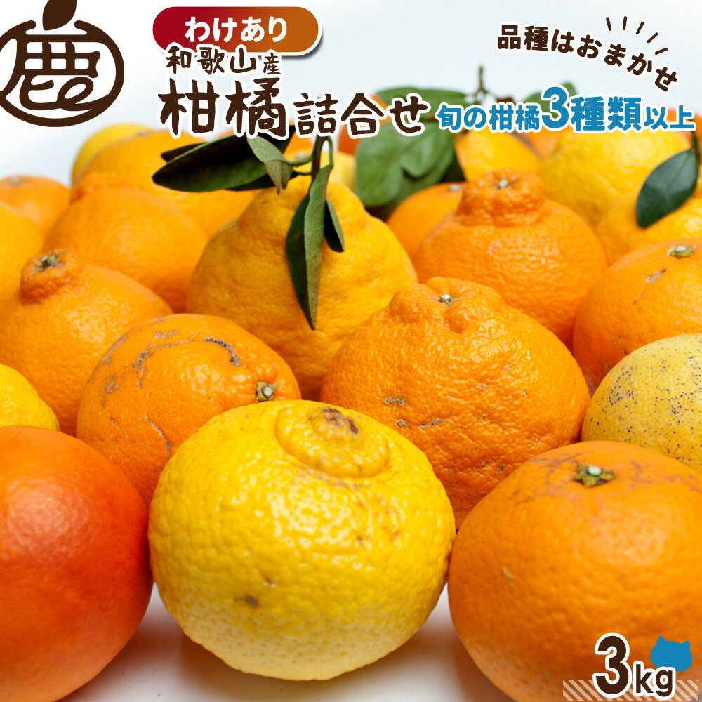 [わけあり] 柑橘詰め合わせ 3kg 【 送