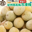 ★15日限定!全品ポイント5倍!★ 訳あり 紀州 南高梅 冷凍梅 【 送料無料 和歌山産 産直 冷凍 青梅 黄梅 完熟一歩手前 梅酒の梅 梅酒用 ジャム シロップ ジュース 直送 】