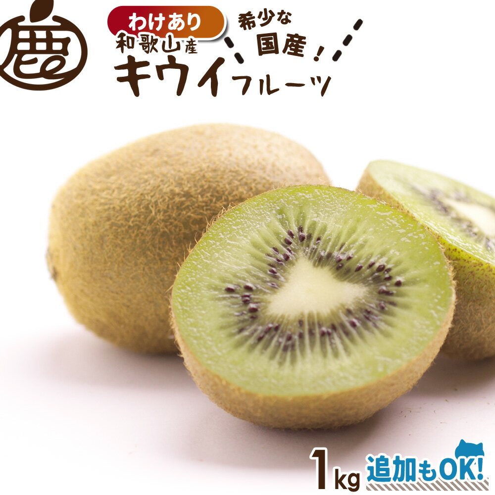 [わけあり]キウイフルーツ1kg　　　　　　　 【KS】【国産キウイ】【訳あり】【送料無料】