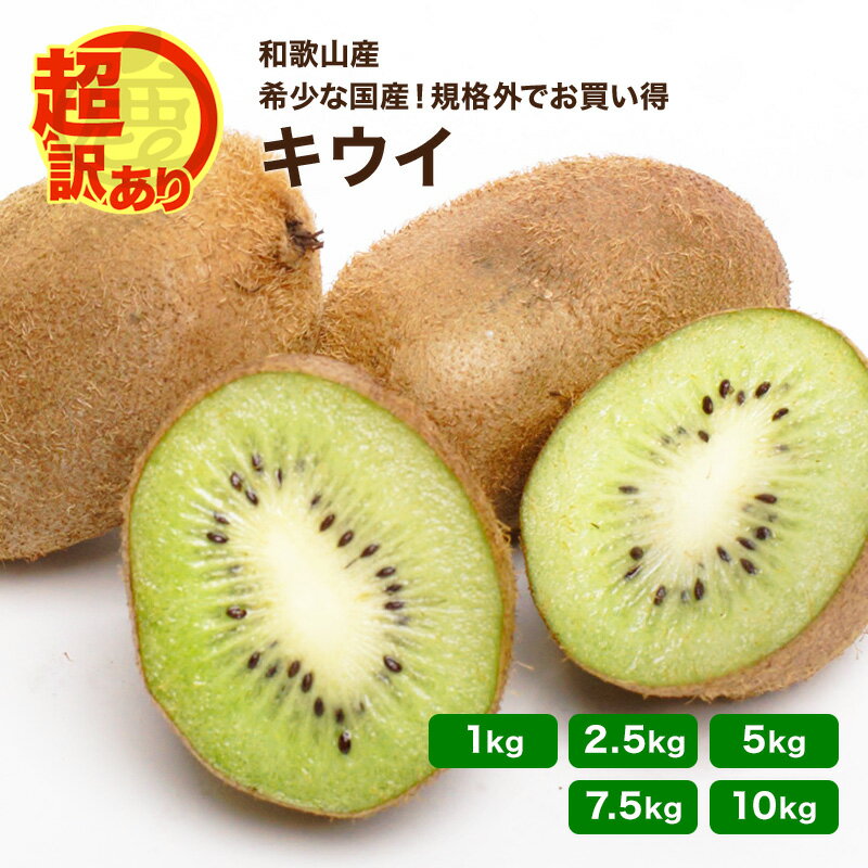 超訳あり キウイフルーツ 2.5kg 5kg 7.5kg 10kg 送料無料 訳あり わけあり 規格外 お得 国産キウイ 和歌山 産地直送 便秘対策 食物繊維 ...
