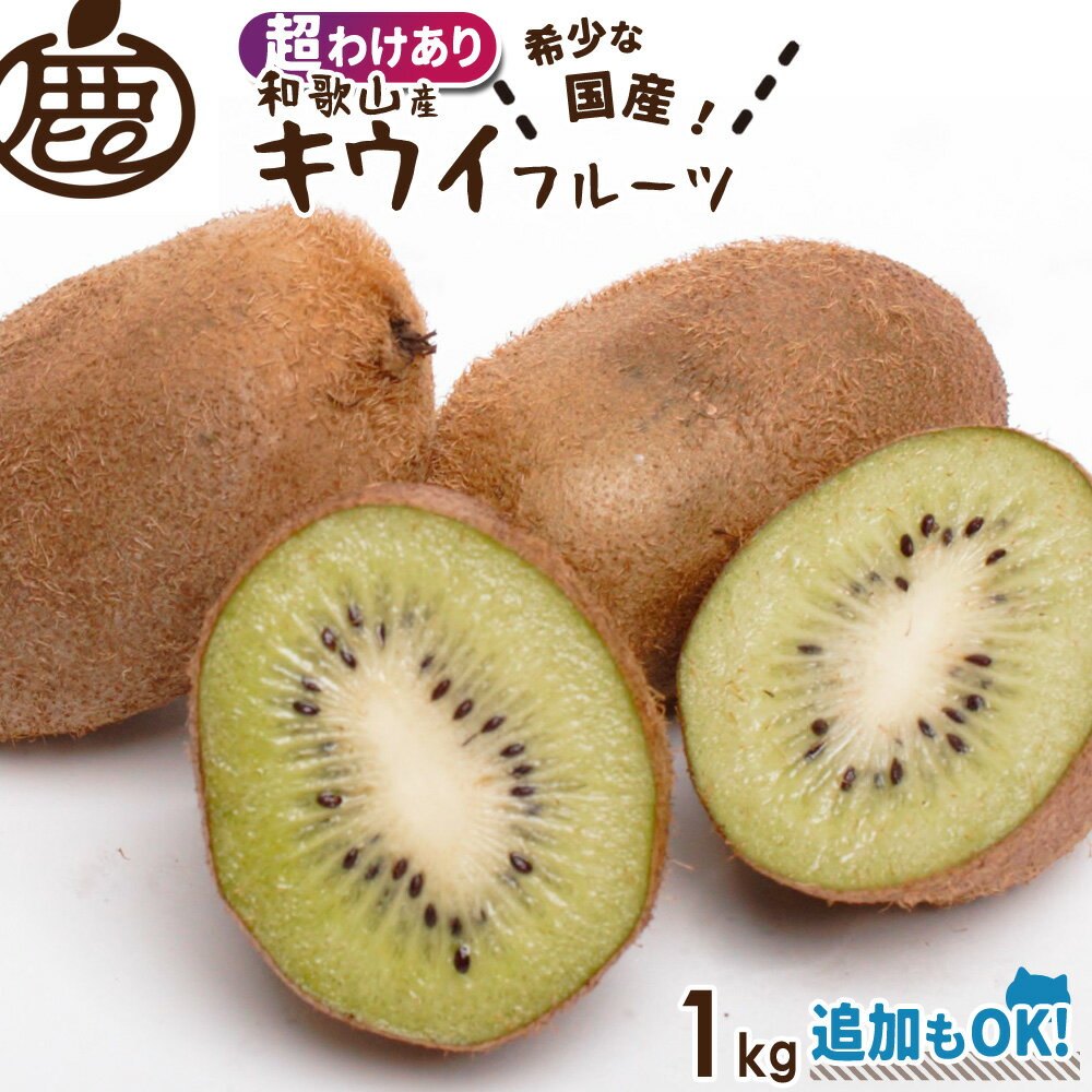 [超わけあり] キウイフルーツ 1kg 【 送料無料 ロットA KS 訳あり 超訳あり お得 国産キ ...