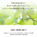 【予約】発送予定6月上旬～[特選] 紀州 南高梅 1kg 【 送料無料 KS 青梅 和歌山産 産直 黄梅含む 生梅 梅干し用 梅酒の梅 梅酒用 ジャム シロップ ジュース 直送 】