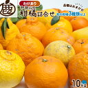 [わけあり]柑橘詰合せ10kg　　　　　　　　 【KS】【訳あり】【送料無料】