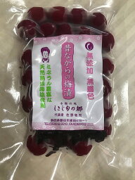 【送料無料】梅干　無添加　浜北宮口小梅使用　国産　手作り　120g　4袋セット　　手作り　無添加　　　漬け物