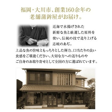 ねぎ天（真空パック） 練り物 さつまあげ 板わさ おつまみ プレゼント 内祝いお祝い 快気祝い お中元 御中元 中元 ギフト 夏ギフト 贈答品 お取り寄せ 福岡土産 お土産 土産 大川 保存料無添加