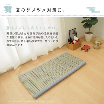 い草長座布団 涼仙 約50×100cm プレス加工で表面なめらかタッチ 涼しい ひんやり ロングクッション ポイント消化 父の日ギフト 母の日ギフト 母の日 プレゼント 花以外