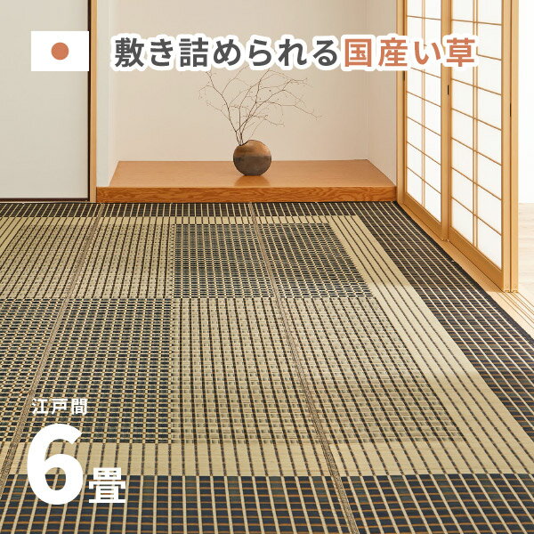 国産 い草ラグ 栄山 約261×352cm【江戸間6畳】6帖 抗菌 防臭上敷き ござ い草カーペット ラグマット センターラグ アクセントラグ おしゃれ 井草 萩原 春夏秋冬用