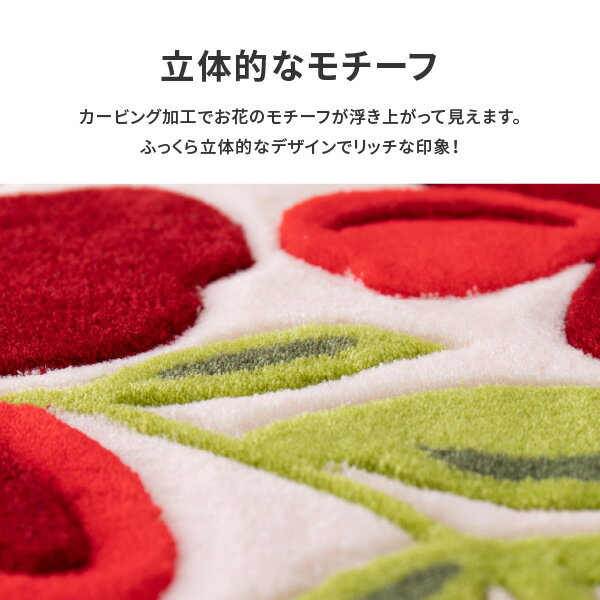 洗える玄関マット アベル 約50×80cm マ...の紹介画像3