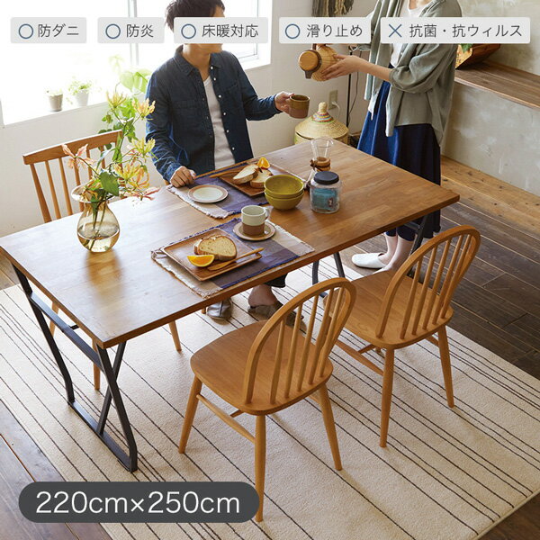 261 cm X 352 cm - 【5/11-15★200円クーポン有】洗える ラグ ラグマット 約220×250cm ワイヤーライン 軽量 軽い コンパクト 防ダニ 滑り止め付き F☆☆☆☆ 日本製