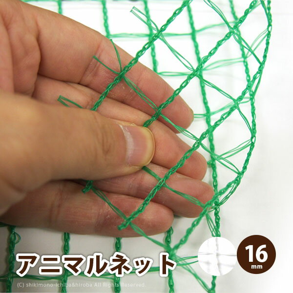   ˥ޥͥå 磻ɥå 1.5Ĺ50m 16mm GR16N16 ưʪ褱 ѥͥå åͥå ...