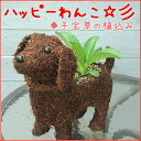 【送料無料】ハッピーわんこ(犬・戌)/チビわんこ子宝草の植え込み