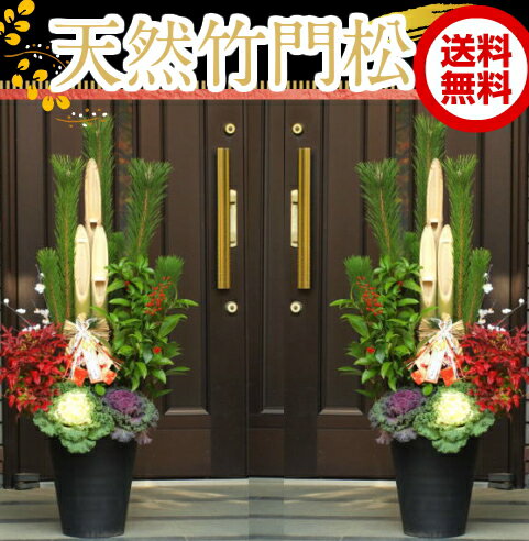 【120cm・1.2mサイズ】天然竹門松/門松/かどまつ 1対(2個)10号サイス(高さ:1.2m)【お届日指定可能】天然青竹・葉牡丹・オタフク南天・千両の植物を植えこんで作った本格的門松