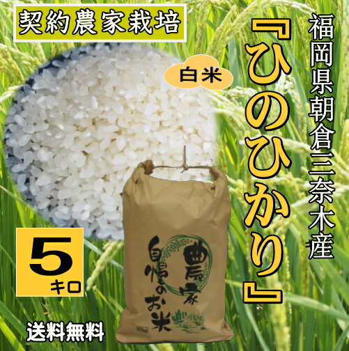 数量限定米・お米ひのひかり5kg九...