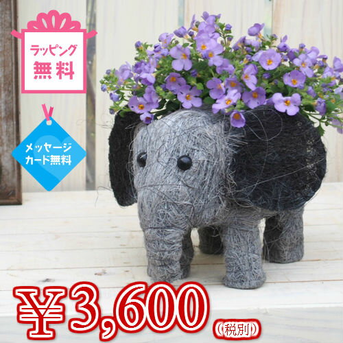 ぞうさんのフラワーバスケット【楽ギフ_包装】【楽ギフ_メッセ】【楽ギフ_メッセ入力】のサムネイル