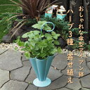 おしゃれな傘型アイアン鉢ハーブ3種寄せ植え
