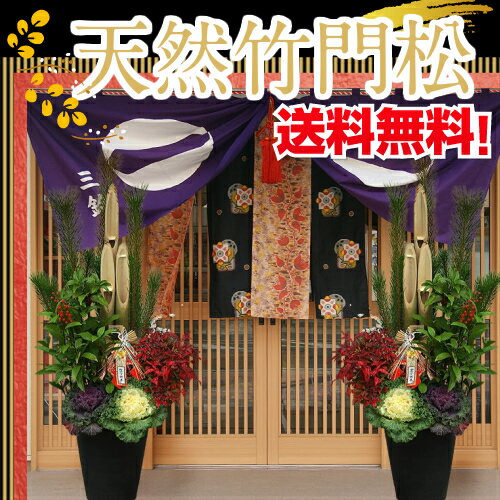 【150cm・1.5m大サイズ】天然竹門松/門松/かどまつ 1対(2個)12号サイズ(高さ:1.5m)【お届日指定可能】天然竹・葉牡丹・オタフク南天・千両の植物を植えこんで作った本格的門松
