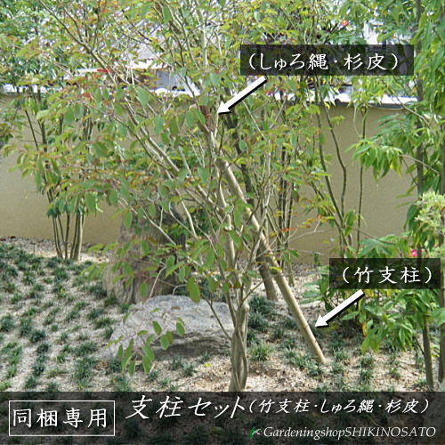 【オプション】　植木の養生資材　竹支柱・しゅろ縄・杉皮セット　使い切り1本分