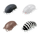 バンダイ ガシャポン だんごむし03 フチゾリネッタイコシビロダンゴムシ編 全4種セット