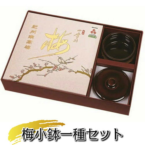 紀州四季の梅本舗 紀州南高梅小鉢付き一種セット (しそ風味・はちみつ風味・かつお風味・こんぶ風味・うす塩味)500g×1種 +小鉢1個 塩分約6%