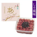 紀州四季の梅本舗 紀州四季の梅 しそ風味 1kg 塩分約6%
