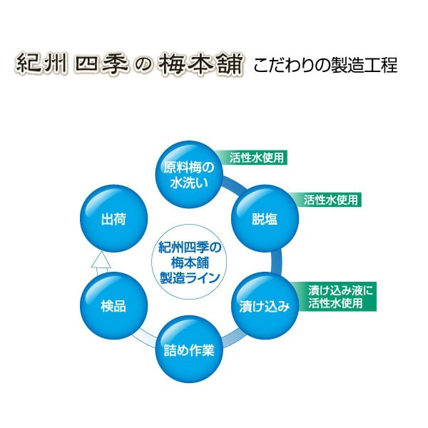 紀州四季の梅本舗 紀州南高梅 うす塩味 500g 塩分約6% 3