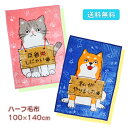 《3%OFF!クーポンで7/2-3》【送料無料】ハーフ毛布 いたずらにゃんこ いたずらわんこ わくわく アニマル100×140cm かわいい キャラクター ポリ...