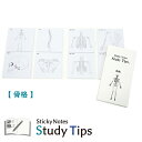 人体付箋 【骨格】 Sticky Notes Study Tips スタディチップス スタチプ 骨格 からだのつくり 理科 生物 医学 解剖生理学 受験 勉強 ...