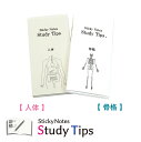 人体付箋-2種セット 【人体】【骨格】 Sticky Notes Study Tips スタディチップス スタチプ 人体 身体 臓器 からだのつくり 解剖生理学...
