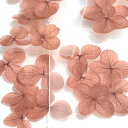 (約5枚入り)紫陽花C アジサイ ドライフラワー レッド 赤 レジン封入 ネイル パーツ ハンドメイド プリザーブドフラワー