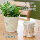 信楽焼 ビアジョッキ 渕荒横彫 サイズ(約):(直径)8.5cm×(高さ)10cm 古谷製陶所作 信楽焼うつわ 信楽焼シンプル 古谷製陶所うつわ 古谷浩一作うつ...