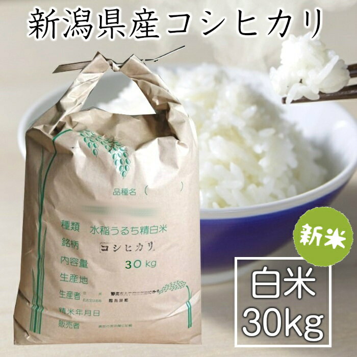 【期間限定販売】新米　令和7年度　新潟県矢代産コシヒカリ　白米　30kg新米　米　お米　こしひかり精米　新潟産　新潟県産　妙高市【送料無料】【同梱不可】【お取り寄せ】【配送日指定不可】