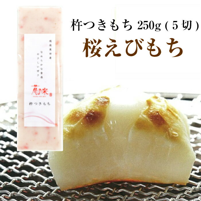 ※メール便配送※【冬季限定販売】杵つきもち「桜えびもち」 250g (5切入)花の米 もち 餅 切り餅えびもち こがねもち【送料無料】【前払い決済不可】