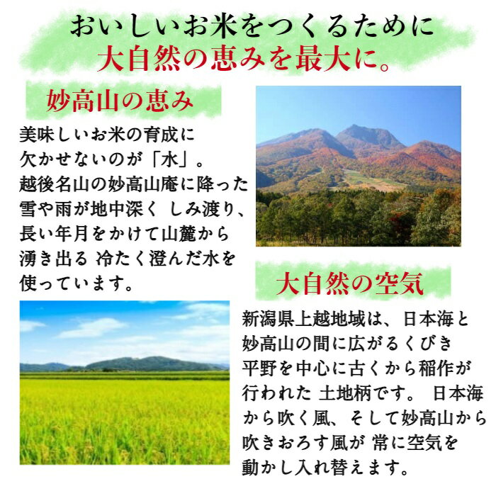 令和7年産新潟県上越産　特別栽培米こだわりこしひかり　精米5kg従来品種コシヒカリ　新潟県特別栽培農産物認証米　花の米【単品配送】【同梱不可】【送料無料】