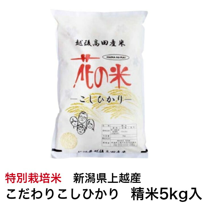 令和5年産新潟県上越産 特別栽培米こだわりこしひ...の商品画像