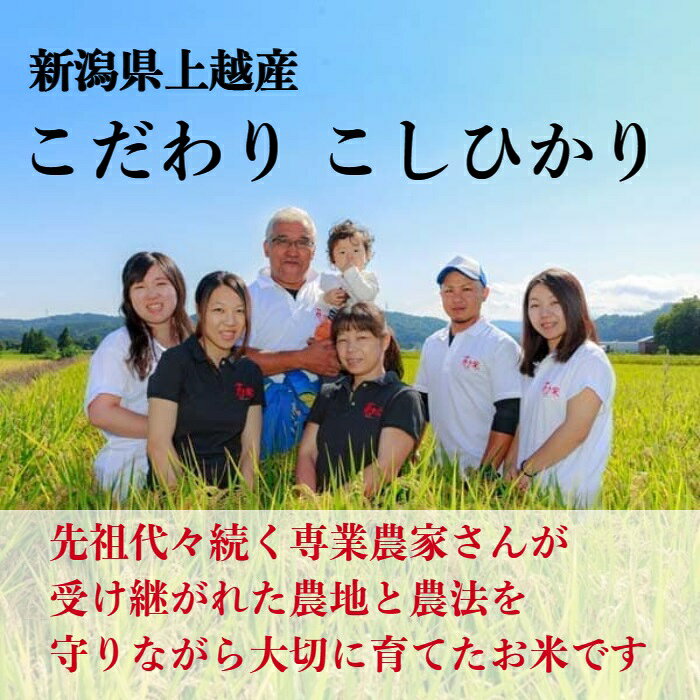 サンプル画像2